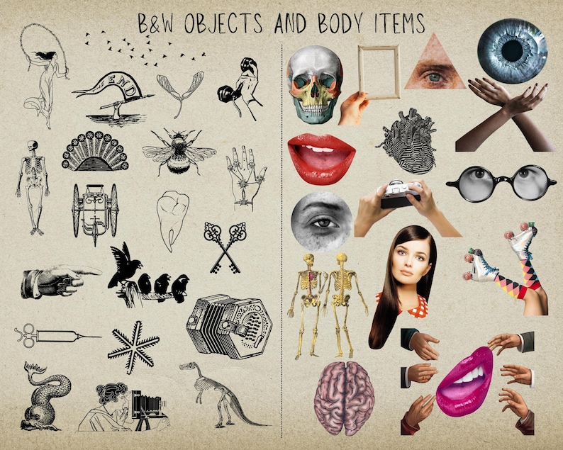 May include: Black and white illustrations of objects and body parts, including a skeleton, a tooth, a bee, a peacock feather, a musical instrument, a syringe, a snowflake, a dinosaur, a skull, a heart, an eye, a mouth, a brain, a camera, glasses, and a pair of legs.