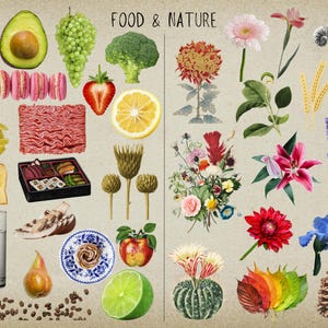May include: A collage of images depicting food and nature. The left side features food items like avocado, bread, sushi, and coffee beans. The right side features flowers, leaves, and a cactus.