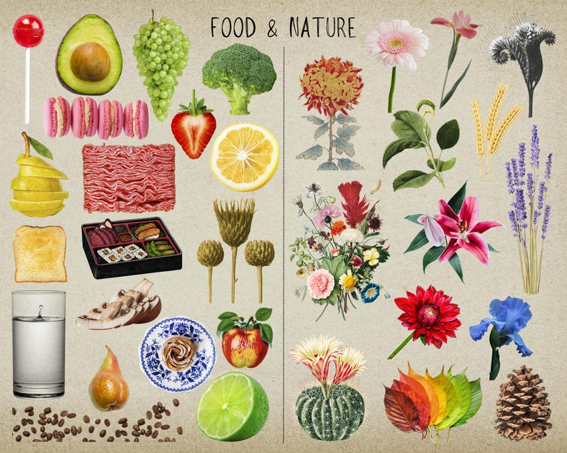 May include: A collage of images depicting food and nature. The left side features food items like avocado, bread, sushi, and coffee beans. The right side features flowers, leaves, and a cactus.