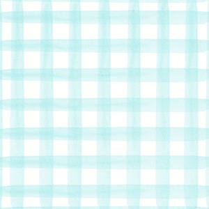 Pode incluir: Um fundo com padr&atilde;o xadrez azul claro e branco.