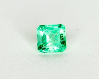Natural Loose Emerald Gemstone (0.93 CT)