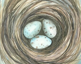 Three Robin Eggs