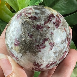 May include: A polished gemstone sphere with a mix of white, gray, and burgundy colors. The sphere has a speckled pattern and is held in a hand. The background features green leaves and a yellow flower.