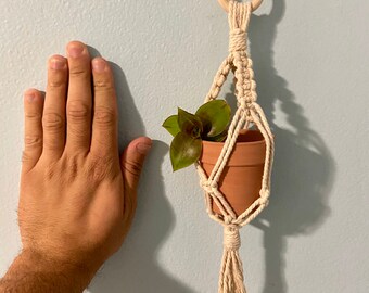 mini macrame plant hanger