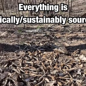 Puede incluir: Escena al aire libre con un suelo forestal cubierto de huesos. El texto "Everything is ethically/sustainably sourced" se muestra en blanco en la parte superior de la imagen. El suelo está cubierto de hojas y ramas.