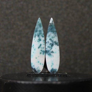 Blue opalized wood pair