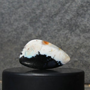 Black White opalized wood cabochon