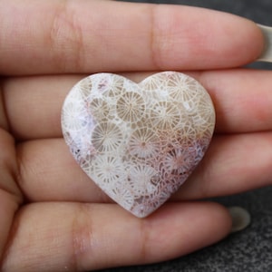 Fossil coral cabochon