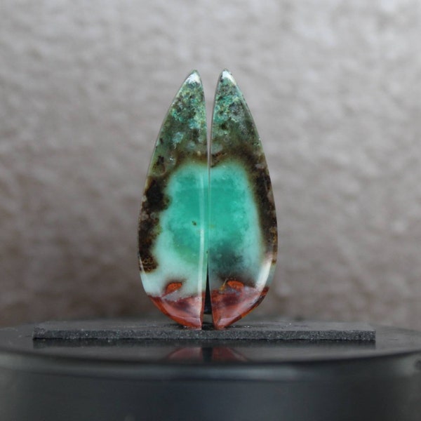 Opalized wood pair