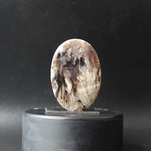 Plume agate cabochon