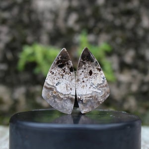 Plume agate pair
