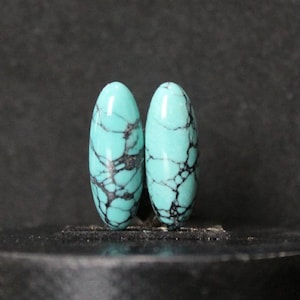 Natural Turquoise Nevada pair