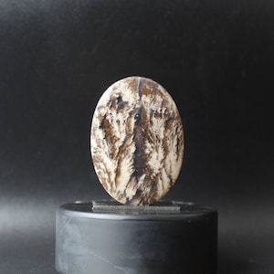 Plume agate cabochon