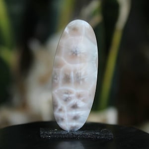 Thomsonite cabochon
