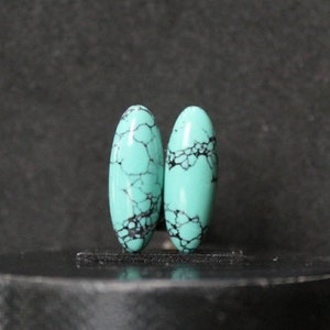 Natural Turquoise Nevada pair