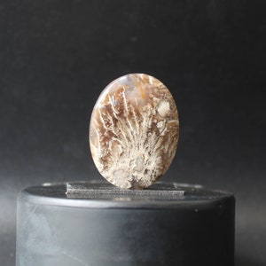 Plume agate cabochon