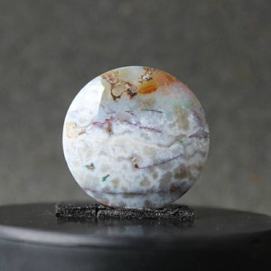 Opalized wood cabochon