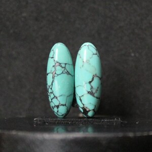 Natural Turquoise Nevada pair