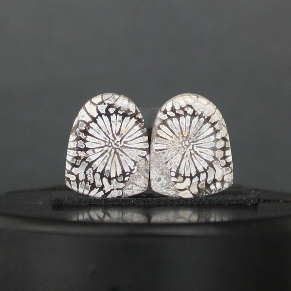 Fossil coral pair