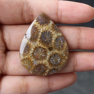 Fossil coral cabochon