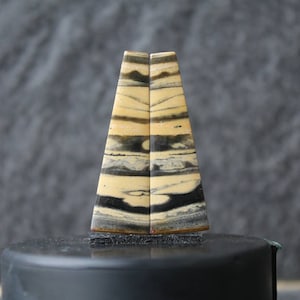 Petrified wood pair