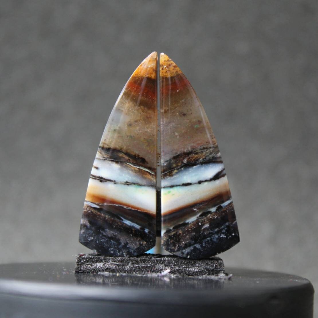 Opalized Wood Pair Etsy