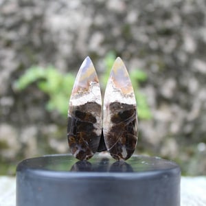 Plume agate pair