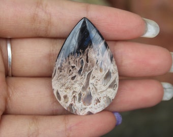 Palm root cabochon