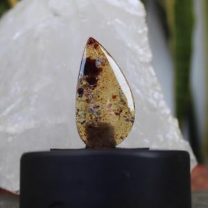 Indo amber cabochon