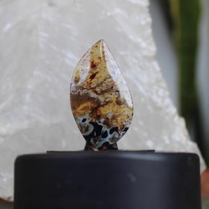 Indo amber cabochon