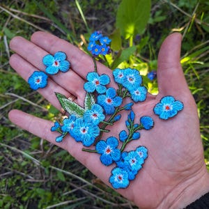 Op de afbeelding: Geborduurde blauwe vergeet-mij-nietjes bloem applicaties met groene stelen en bladeren. De applicaties hebben een gedetailleerd ontwerp met een rood centrum en zijn in verschillende maten. De applicaties worden getoond op een hand tegen een achtergrond van groen gras en andere bloemen.