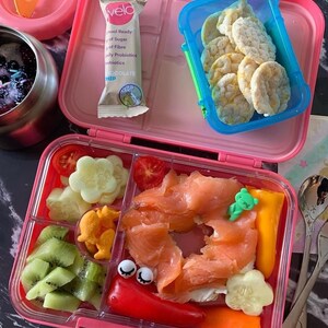 May include: Pink lunchbox with a variety of foods, including salmon, kiwi, cucumber, bell peppers, and rice cakes. The lunchbox also includes a small package of chocolate chip granola bars.