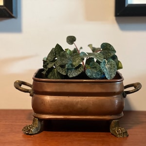 Op de afbeelding: Een koperen plantenbak met een vierkante vorm, met twee handvatten en decoratieve poten. De plantenbak bevat een kleine groene plant met hartvormige bladeren. De plantenbak staat op een houten oppervlak.