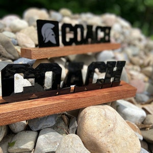 Acrylic Coach Award