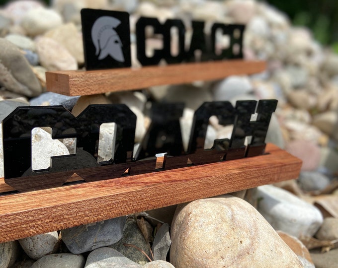 Acrylic Coach Award