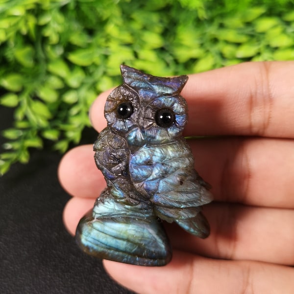 Labradorite naturelle, hibou, cristal de quartz sculpté, crâne d'animal, cadeau, cristal Reiki