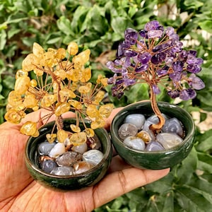 Può includere: Due piccoli alberi decorativi di pietre preziose. Uno presenta gemme gialle, l'altro viola. Entrambi gli alberi hanno rami in filo di rame e sono piantati in piccole ciotole di ceramica verde scuro piene di pietre levigate.