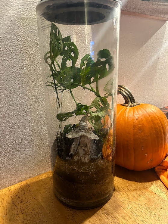 3D Printed Locking Vent Terrarium 19.5 H Inches 7 W Inches. Etsy