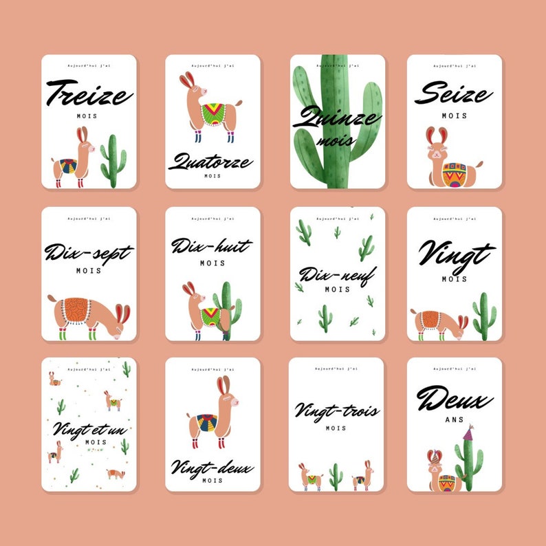 Paper Bebe Lama Cactus Steps Maps Paper Party Supplies Paper Bebe Lama Cactus Steps Maps Paper Party Supplies