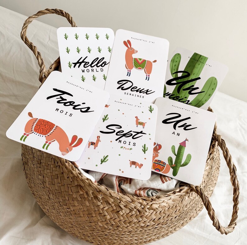 Paper Bebe Lama Cactus Steps Maps Paper Party Supplies Paper Bebe Lama Cactus Steps Maps Paper Party Supplies