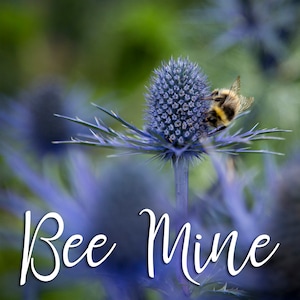 Bee Mine Greetings Card