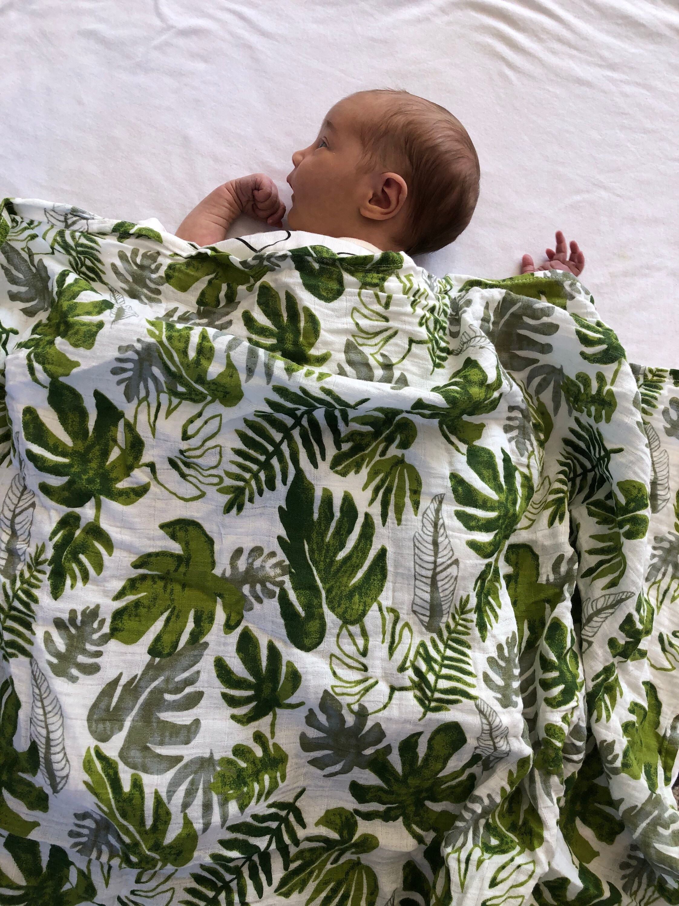Baby swaddle muslin / Large personalised muslin / Palm leaf Etsy
