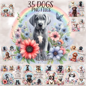 Könnte beinhalten: 35 digitale Illustrationen verschiedener Hunderassen, jede mit einem Blumenhintergrund und einem Regenbogenbogen. Die Hunde sind alle im Cartoon-Stil gehalten und schauen den Betrachter an. Der Text "35 DOGS PNG FILES" befindet sich oben im Bild.