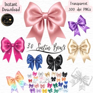 May include: A selection of 30 satin bows in diverse colours, such as pink, purple, gold, blue, black, and white. The bows have a glossy finish. The image includes the text "30 Satin Bows" and "Instant Download".