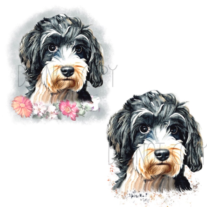 Cute Cockapoos. 5 Different Cockapoos, With and Without Flowers, 10 PNG ...