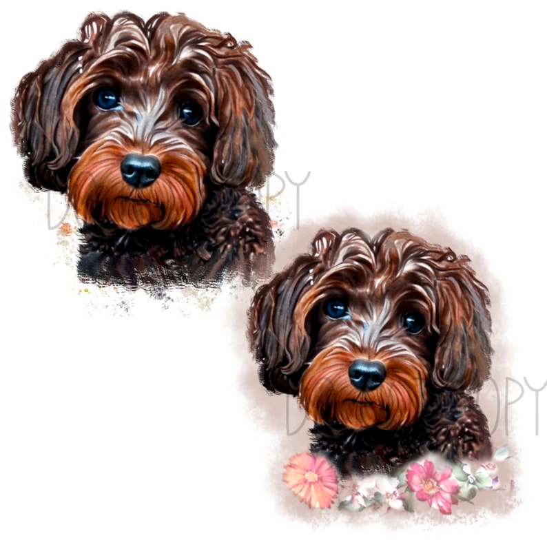 Cute Cockapoos. 5 Different Cockapoos, With and Without Flowers, 10 PNG ...