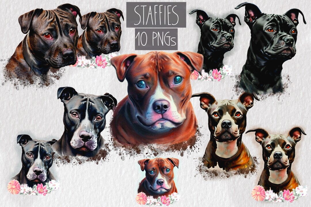 Cute Staffies Staffordshire Bull Terrier. There Are 5 Dogs Etsy