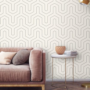 Minimalist wallpaper Peel and stick removable or Traditional non woven wallpaper neutral
