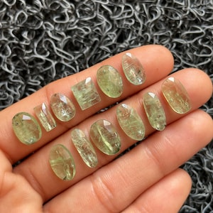 12 Pcs Lot Mint Green Kyanite Gemstone-Natural Mint Green Kyanite Rose Cut Flat Back Slices-Kyanite Size 14-9 mm-Loose Gems For Jewelry-A488