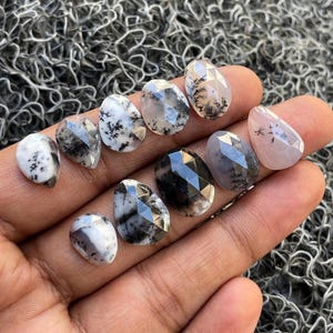 Puede incluir: Una colección de ocho cabujones de ópalo dendrítico facetados en varios tonos de blanco, gris y negro. Las piedras se muestran en una mano.